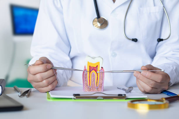 Best Mobile Emergency Dentist in Mont Belvieu, TX